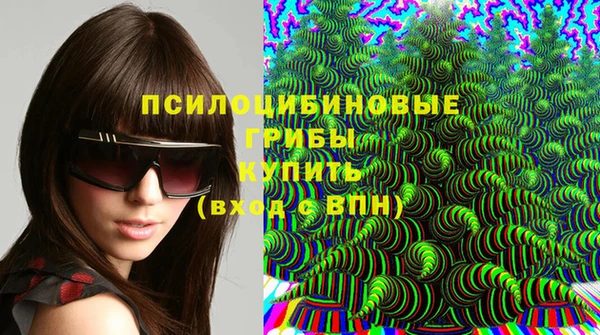 экстази Алексин