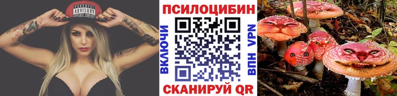 МЕГА сайт  Куровское  Псилоцибиновые грибы Magic Shrooms  купить наркотики цена 