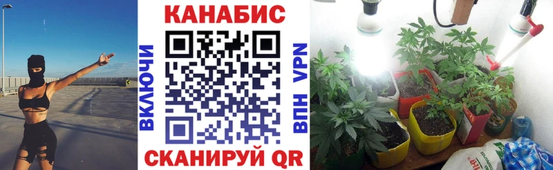 МАРИХУАНА план  что такое наркотик  Куровское 